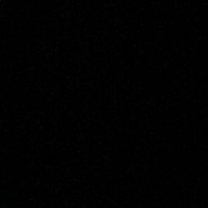 Meet your Posher, Sophia